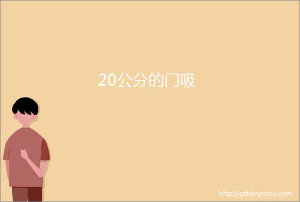 20公分的门吸