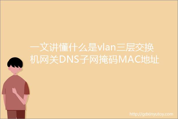 一文讲懂什么是vlan三层交换机网关DNS子网掩码MAC地址