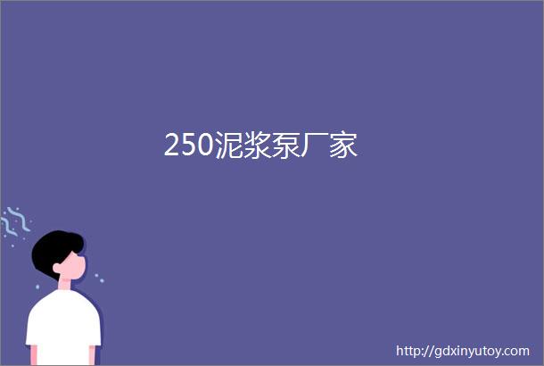 250泥浆泵厂家