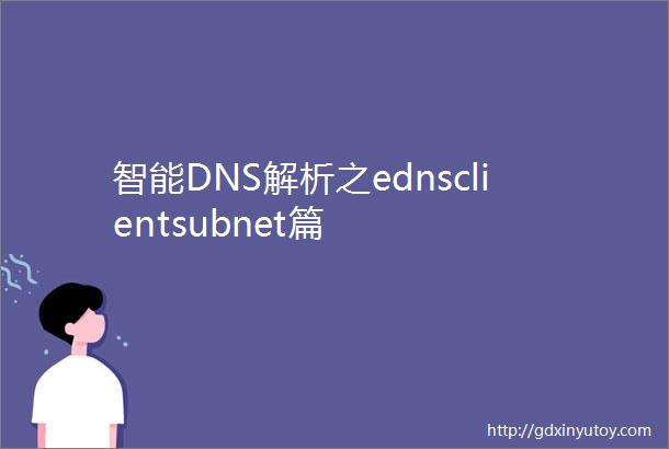 智能DNS解析之ednsclientsubnet篇