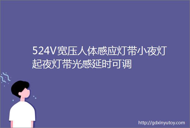 524V宽压人体感应灯带小夜灯起夜灯带光感延时可调