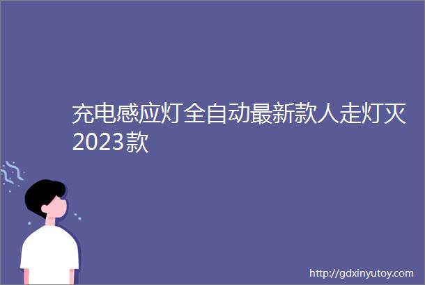 充电感应灯全自动最新款人走灯灭2023款