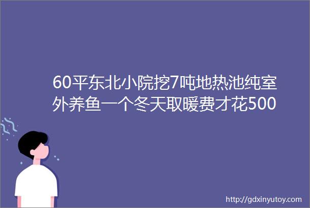 60平东北小院挖7吨地热池纯室外养鱼一个冬天取暖费才花500块