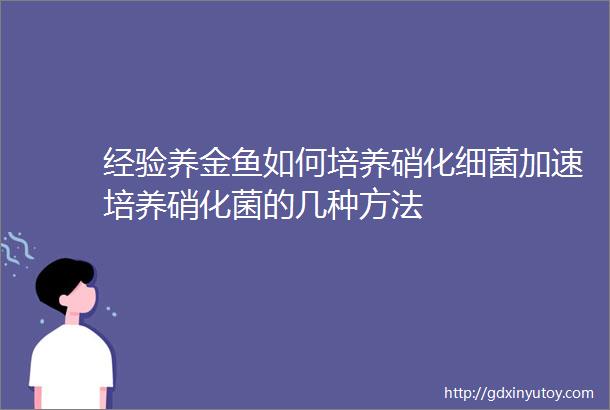 经验养金鱼如何培养硝化细菌加速培养硝化菌的几种方法