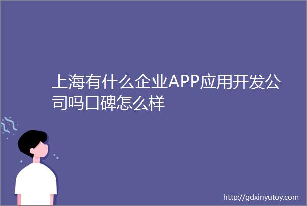 上海有什么企业APP应用开发公司吗口碑怎么样
