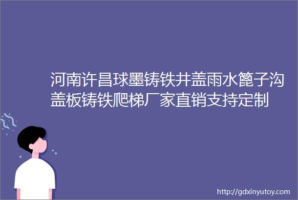 河南许昌球墨铸铁井盖雨水篦子沟盖板铸铁爬梯厂家直销支持定制