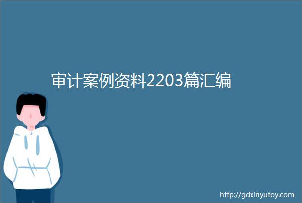 审计案例资料2203篇汇编