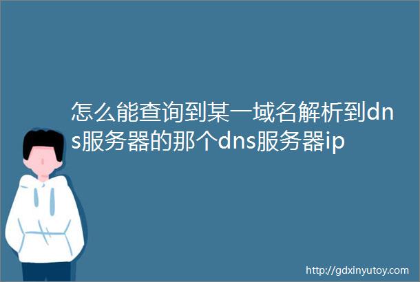 怎么能查询到某一域名解析到dns服务器的那个dns服务器ip