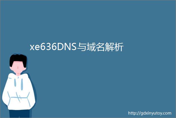 xe636DNS与域名解析