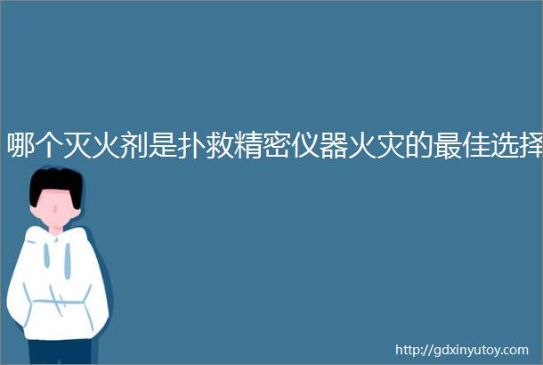 哪个灭火剂是扑救精密仪器火灾的最佳选择