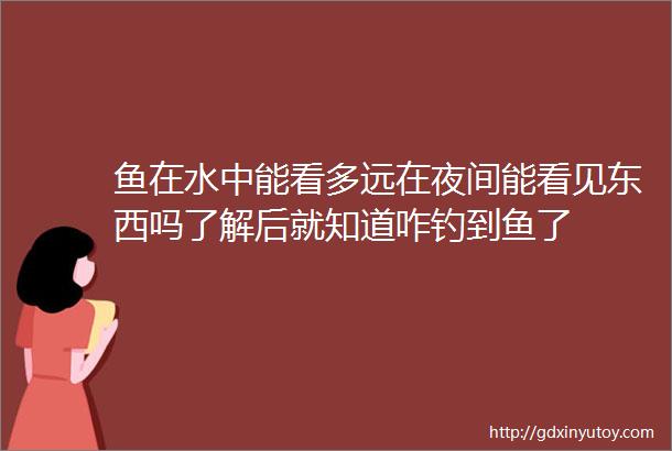 鱼在水中能看多远在夜间能看见东西吗了解后就知道咋钓到鱼了