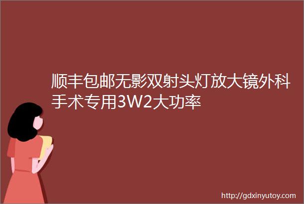 顺丰包邮无影双射头灯放大镜外科手术专用3W2大功率