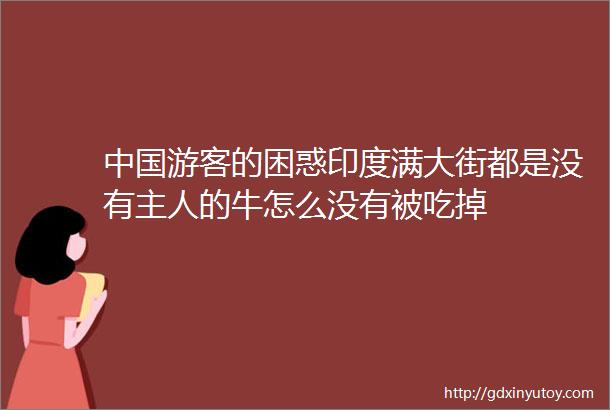 中国游客的困惑印度满大街都是没有主人的牛怎么没有被吃掉