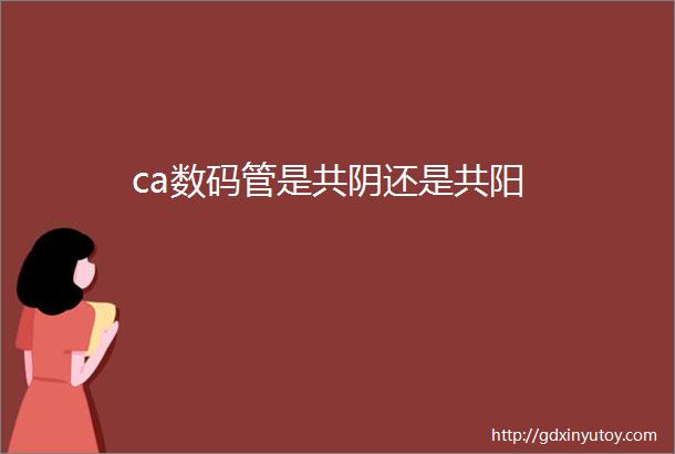 ca数码管是共阴还是共阳