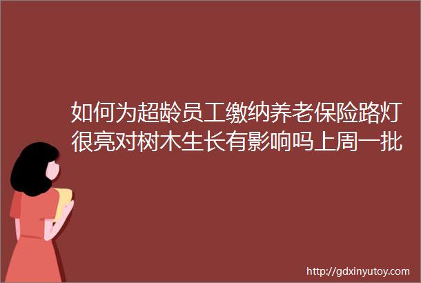 如何为超龄员工缴纳养老保险路灯很亮对树木生长有影响吗上周一批民生企业诉求有回应rarr