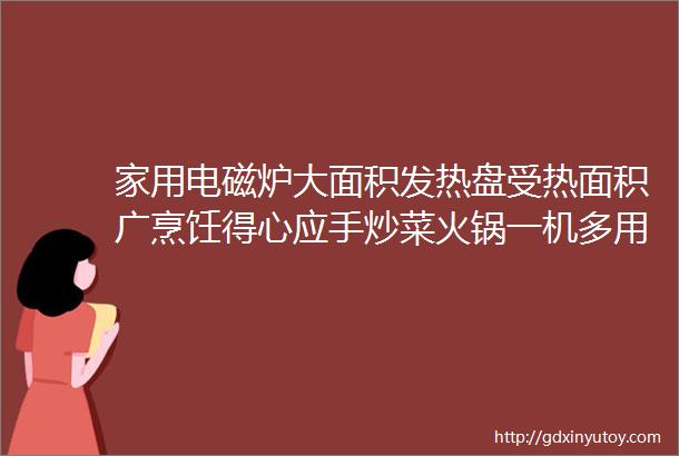 家用电磁炉大面积发热盘受热面积广烹饪得心应手炒菜火锅一机多用