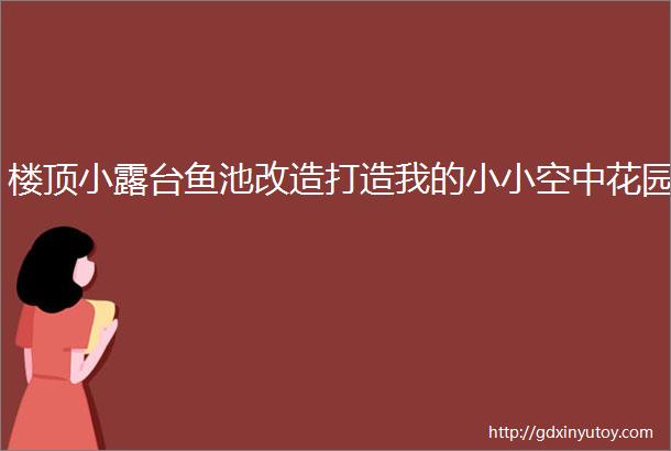 楼顶小露台鱼池改造打造我的小小空中花园