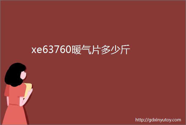 xe63760暖气片多少斤