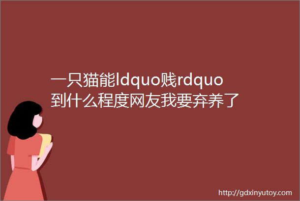 一只猫能ldquo贱rdquo到什么程度网友我要弃养了