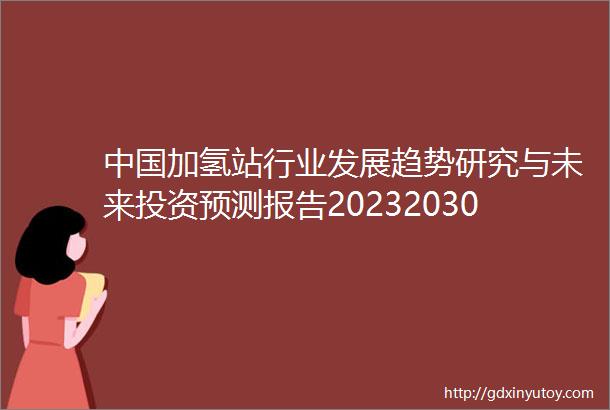 中国加氢站行业发展趋势研究与未来投资预测报告20232030年