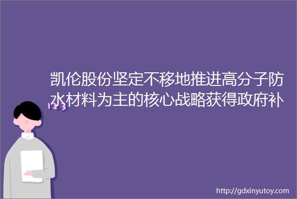 凯伦股份坚定不移地推进高分子防水材料为主的核心战略获得政府补助资金人民币192285万元