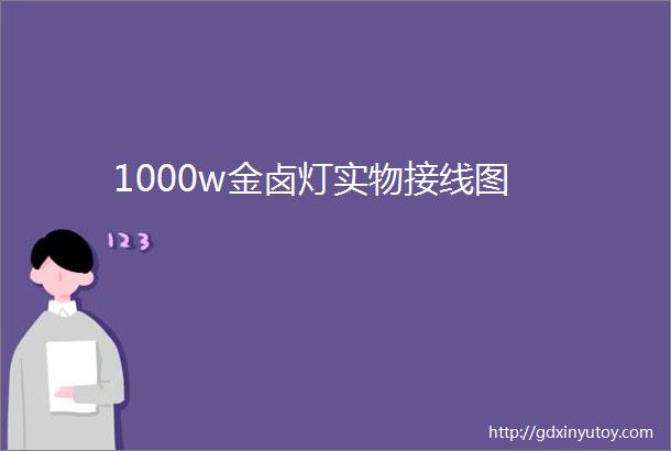 1000w金卤灯实物接线图