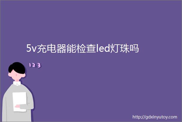 5v充电器能检查led灯珠吗