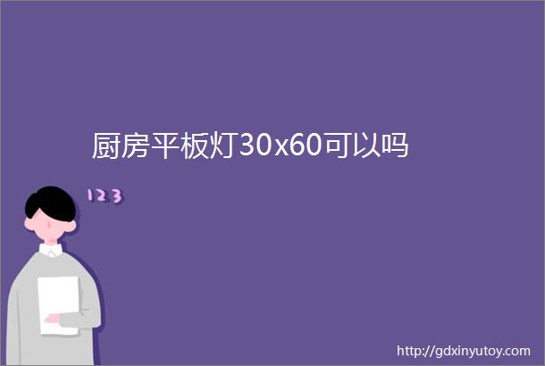 厨房平板灯30x60可以吗