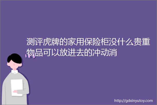 测评虎牌的家用保险柜没什么贵重物品可以放进去的冲动消