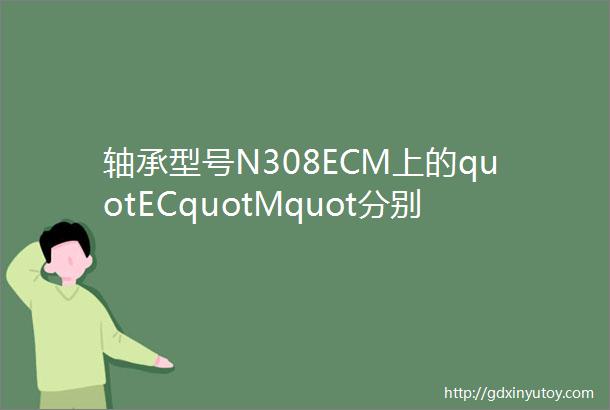 轴承型号N308ECM上的quotECquotMquot分别代表什么意思