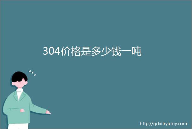 304价格是多少钱一吨