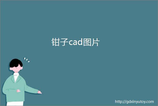 钳子cad图片