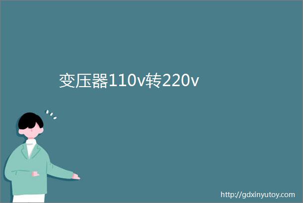 变压器110v转220v