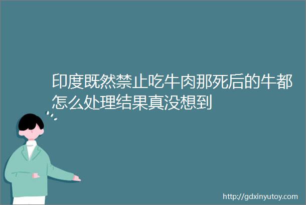 印度既然禁止吃牛肉那死后的牛都怎么处理结果真没想到