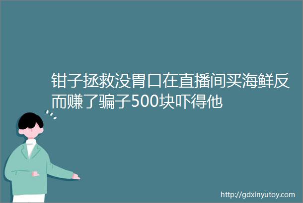 钳子拯救没胃口在直播间买海鲜反而赚了骗子500块吓得他