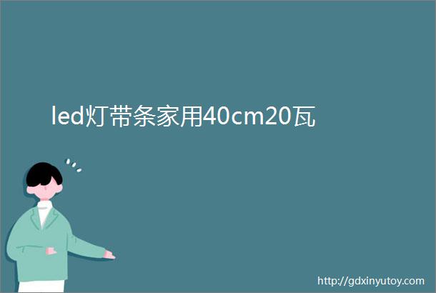 led灯带条家用40cm20瓦