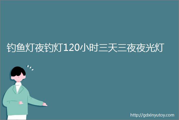 钓鱼灯夜钓灯120小时三天三夜夜光灯